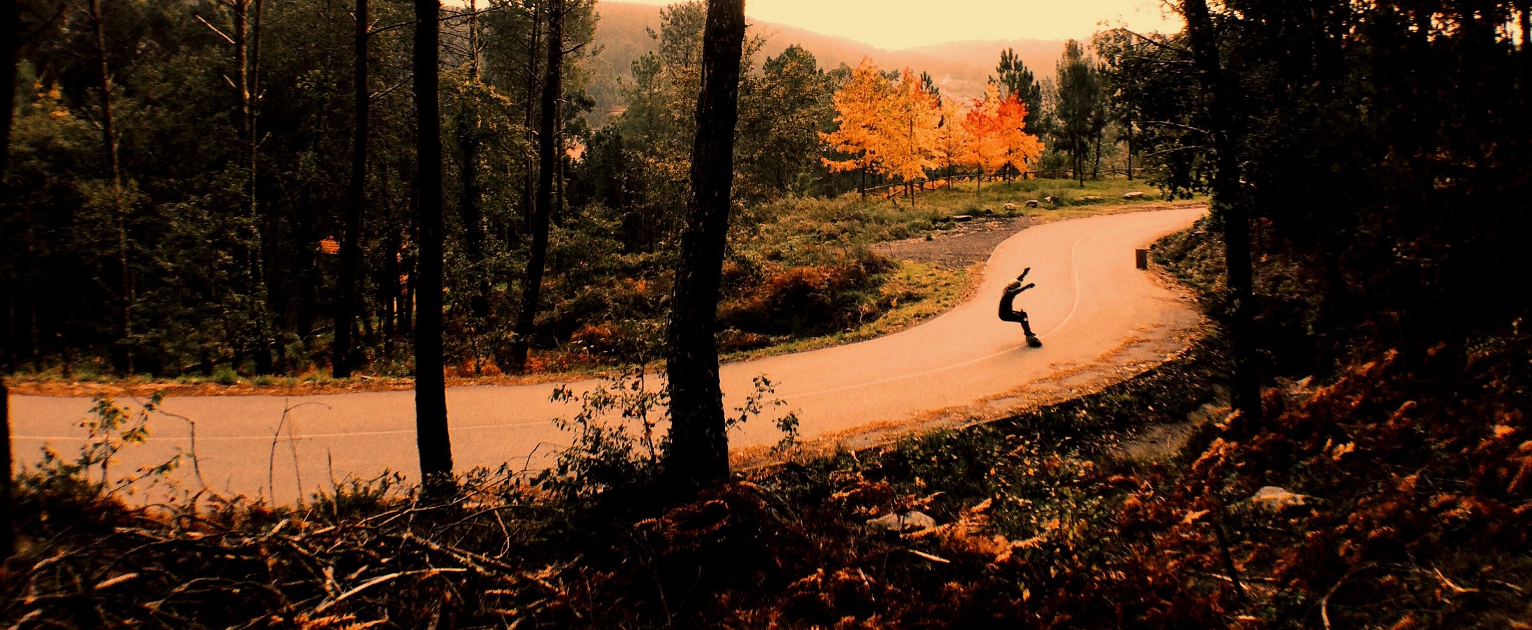 Longboard Freeride