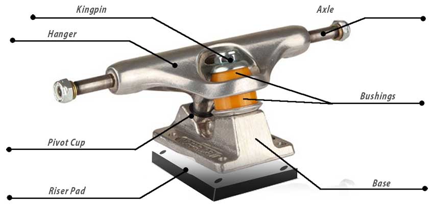 Partes de un eje de longboard y skate